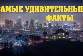 Удивительные факты