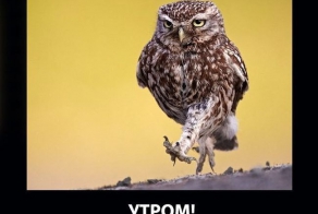 НА РАБОТУ как на праздник