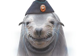Дневник американского боевого дельфина
