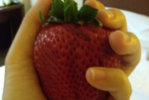 Хотите попробовать гигантскую клубничку?