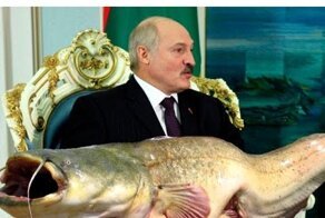 Нарезка острот Лукашенко
