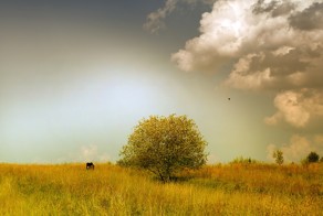 Фото как сон