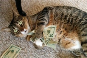 Подборка фотоприколов