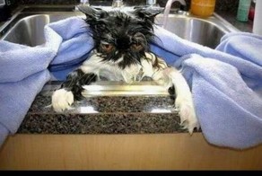 Дождались!!! Пятница!!!