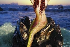 Рыбаки плывыт по дороге на лодке