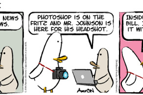 What the duck!