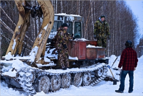 Сибирская резня бензопилой