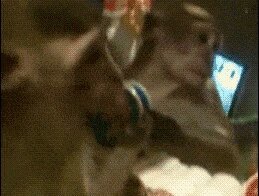 Не узнала себя в зеркале