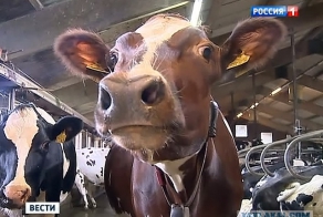 Российские ответные санкции хоронят прибалтику