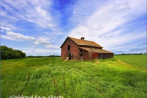 И похоже на  Россию....