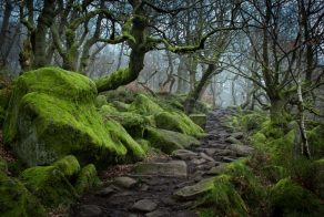 15 волшебных тропинок