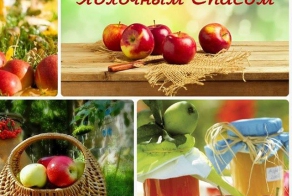 Фишкина солянка за 19.08.2014