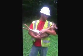 Олененок не хочет слезать с ручек:)