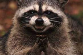 Как я получил халявные минуты у сотового оператора