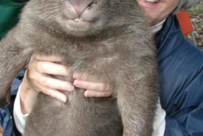 Необычные и редкие животные! Страшно!