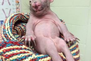 Фишкина солянка за 20.08.2014