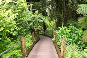 Отпуск на Гавайях