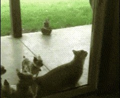 Заходите, открыто!