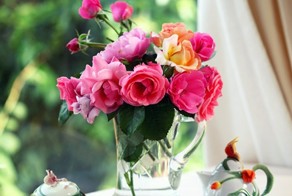 5 историй с хорошим настроением!