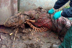 Мрачная ферма в Англии