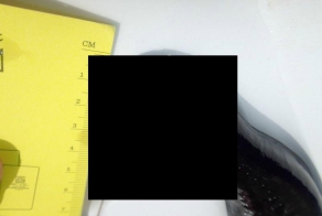 Интересный улов