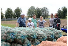 Батька за уборкой урожая с сыном