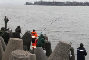 Рыбалка ловят салаку