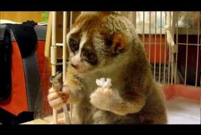 А глазки-то какие!