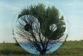 Ни о чём. Так, одни догадки