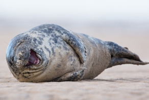 Фотоподборка за 22.08.2014