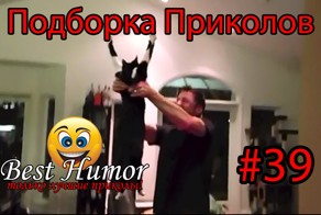 Подборка Приколов