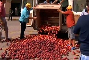 В Испании фермеры сожгли флаг ЕС и вывалили килограммы персиков и тома