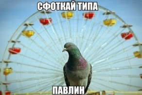 Фишкина солянка за 25.08.2014