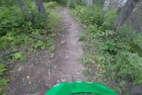 Из-за леса, из-за гор 