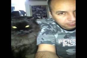 Хозяин, почеши мне за ушком