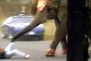 Взбесившийся цирковой слон