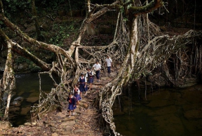 Самое влажное место на Земле