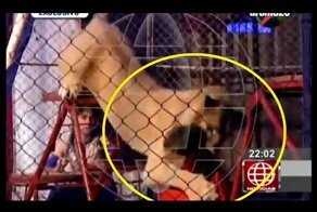 Не волнуйтесь, мы проделывали этот трюк много раз!