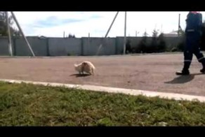 Украина vs Россия