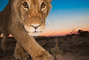 National Geographic: лучшие фотографии августа