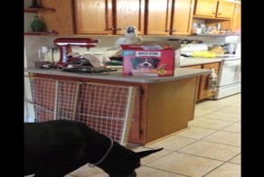 Ну же, парни, я угощаю 