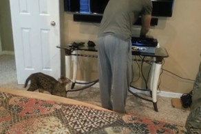 Жестокое нападение Саванны