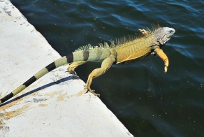 Фотоподборка за 27.08.2014