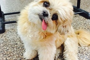 Знакомьтесь с Марни