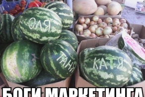 Картинки со смешными подписями