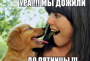 Фишкина солянка за 29.08.2014