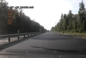 Леворядник