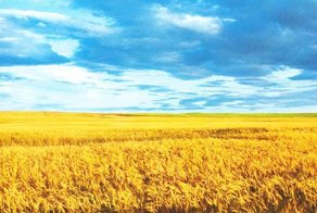 Майдан решил деблокировать Иловайск