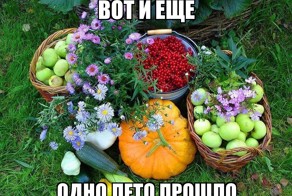 Вот и лето прошло