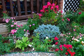 Палисадник у дома